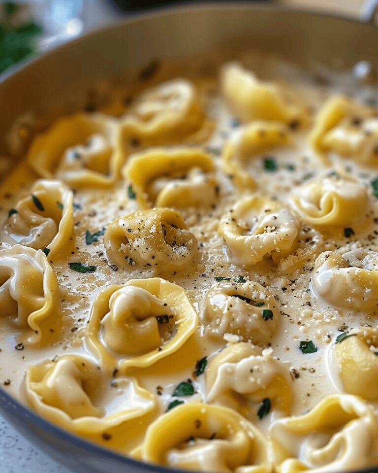 Dreamy Cheese Tortellini Recipe