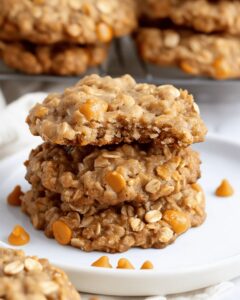 Scrumptious Oatmeal Scotchies Recipe