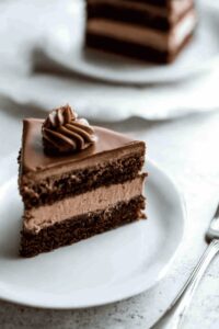 Sokolatina Chocolate Custard Cake Recipe