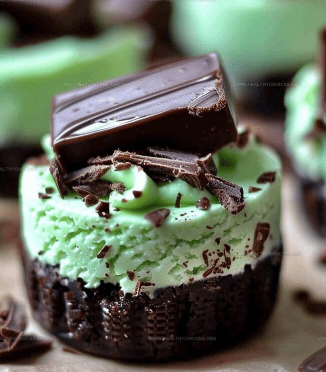 How to Store Andes Mint Mini Cheesecakes