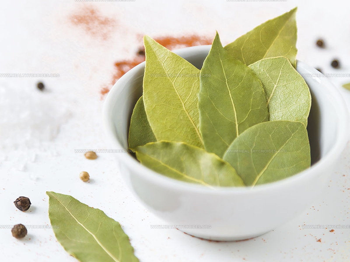 Bay Leaf or Basil: Which Herb Lifts Your Dishes More
