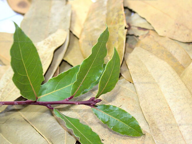 Bay Leaves